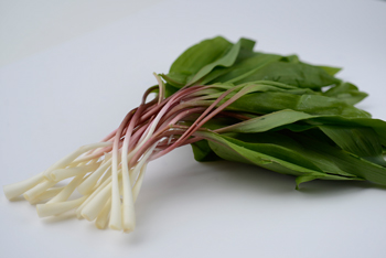 Salt and Pepper Ramps